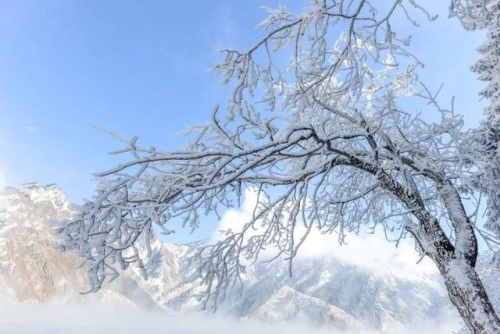 新疆居然下雪了！雪后的新疆如冰雪童話世界